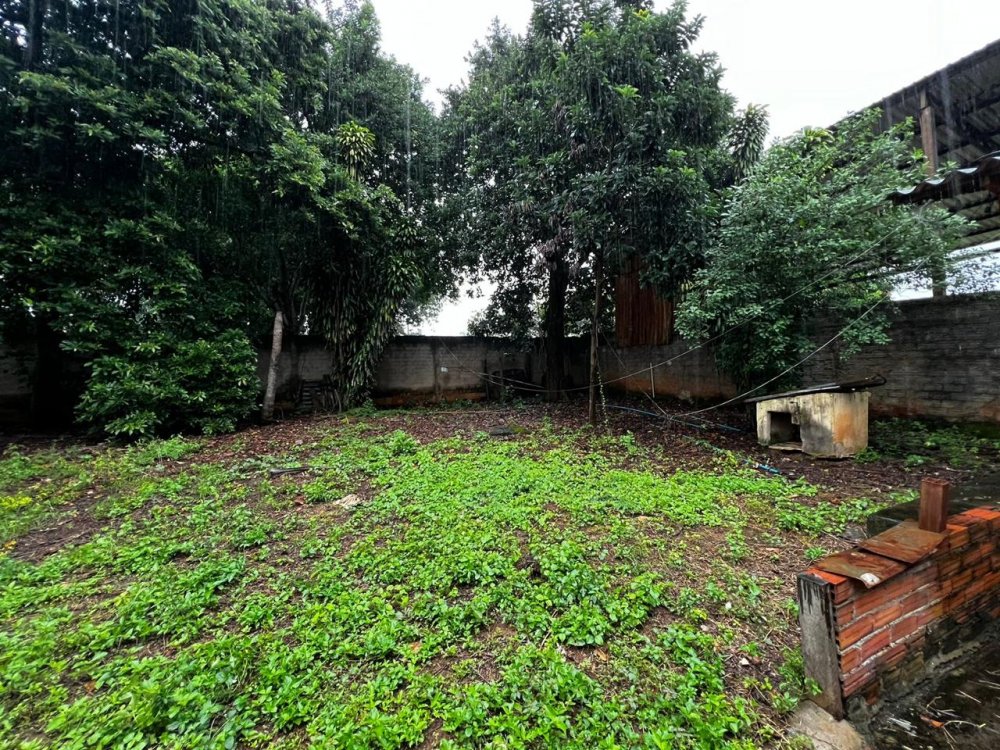 Chácara - Aluguel - Vila Mariana - Aparecida de Goiânia - GO