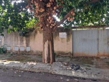 Terreno - Venda - Jardim Nova Era - Aparecida de Goiânia - GO