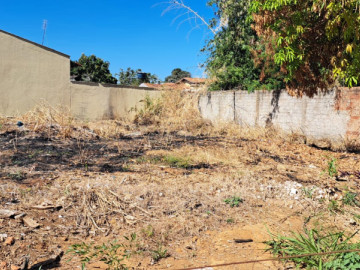 Lote - Venda - Setor Aeroporto Sul - Aparecida de Goiânia - GO