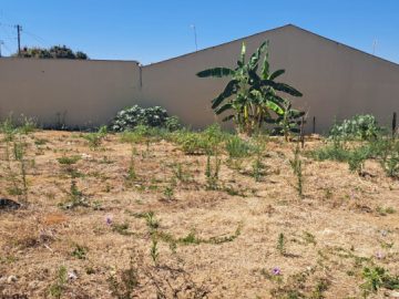 Lote - Venda - Setor Aeroporto Sul - Aparecida de Goiânia - GO